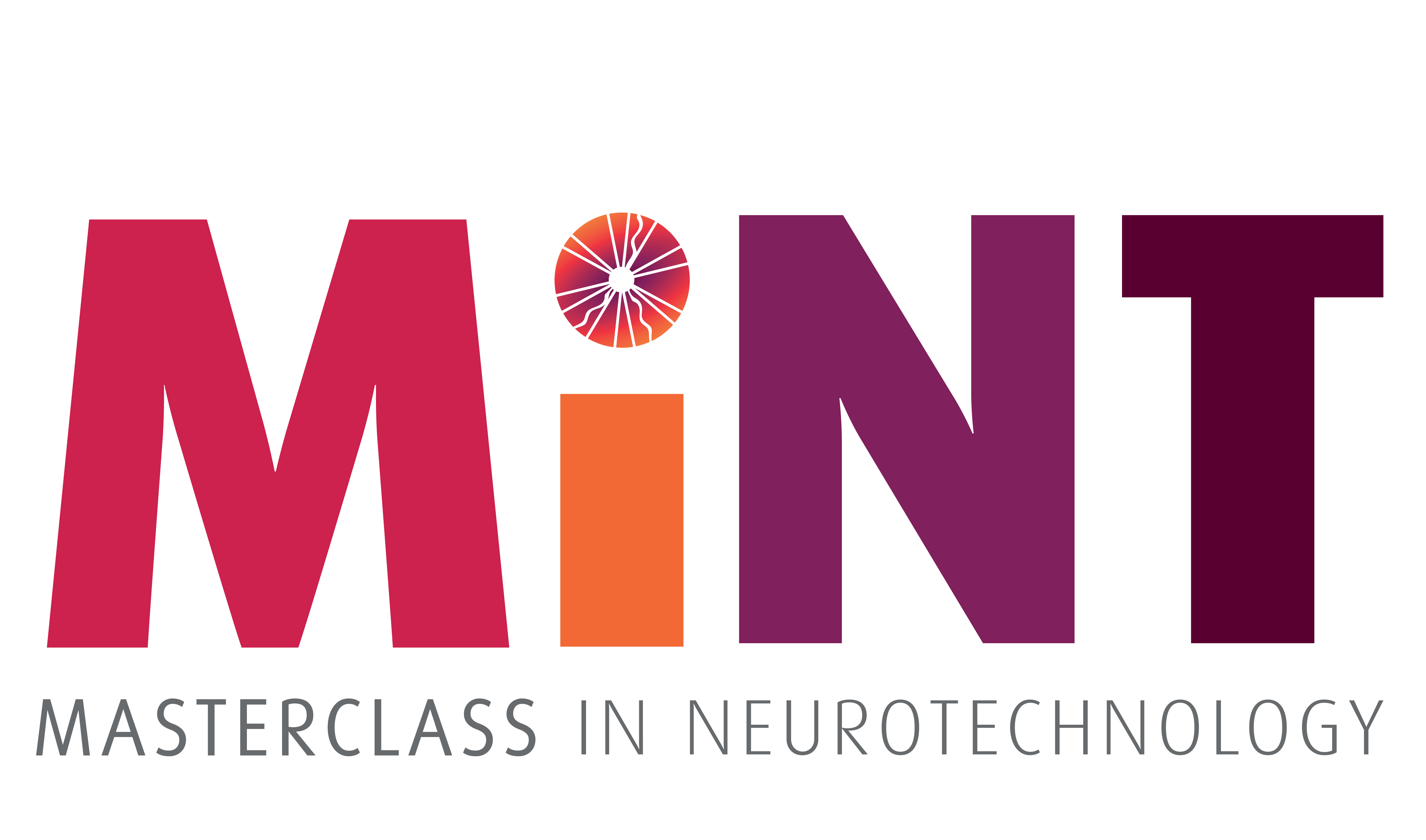 The MiNT (masterclass in neurotechnology) Academy logo