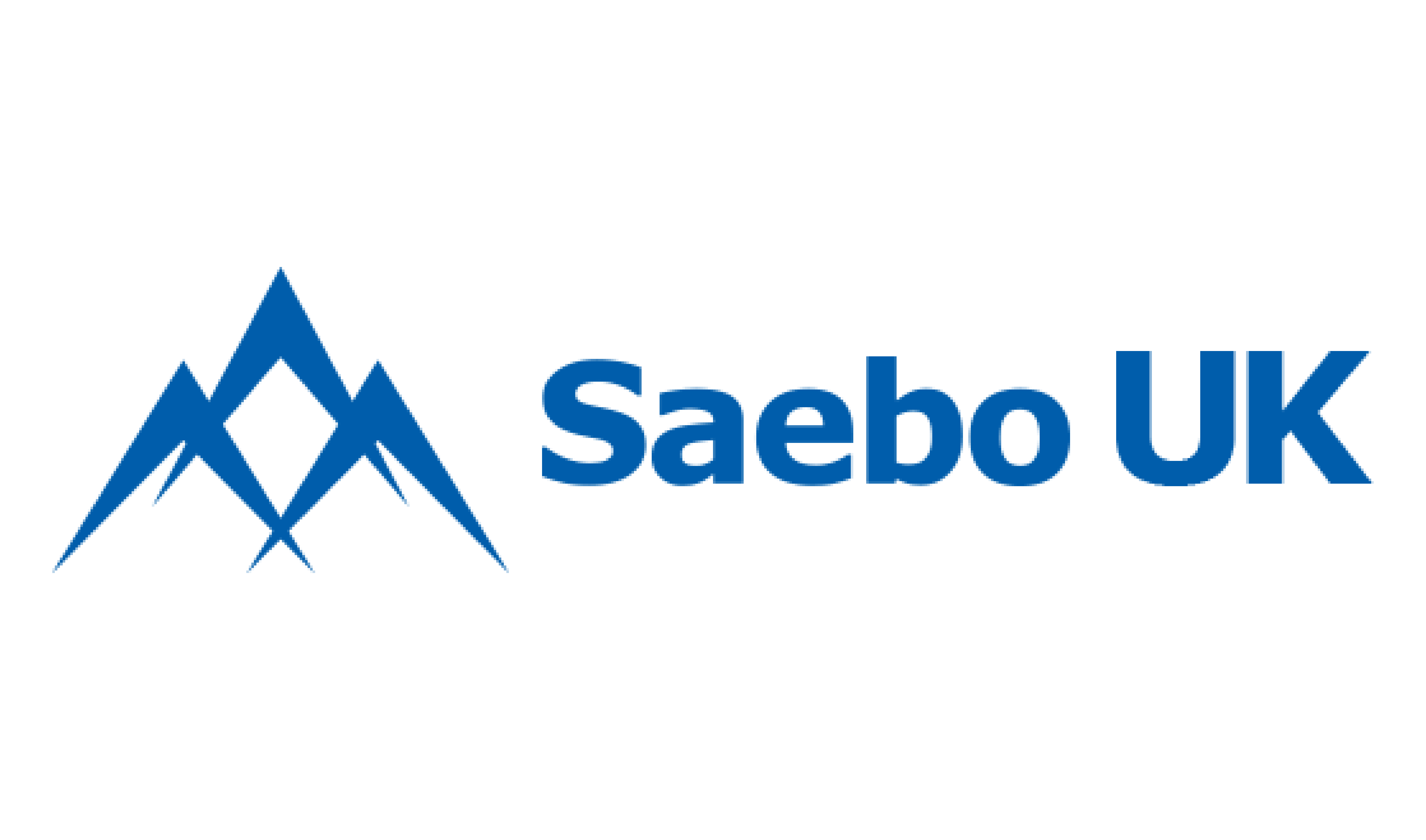 Saebo Company Logos-72