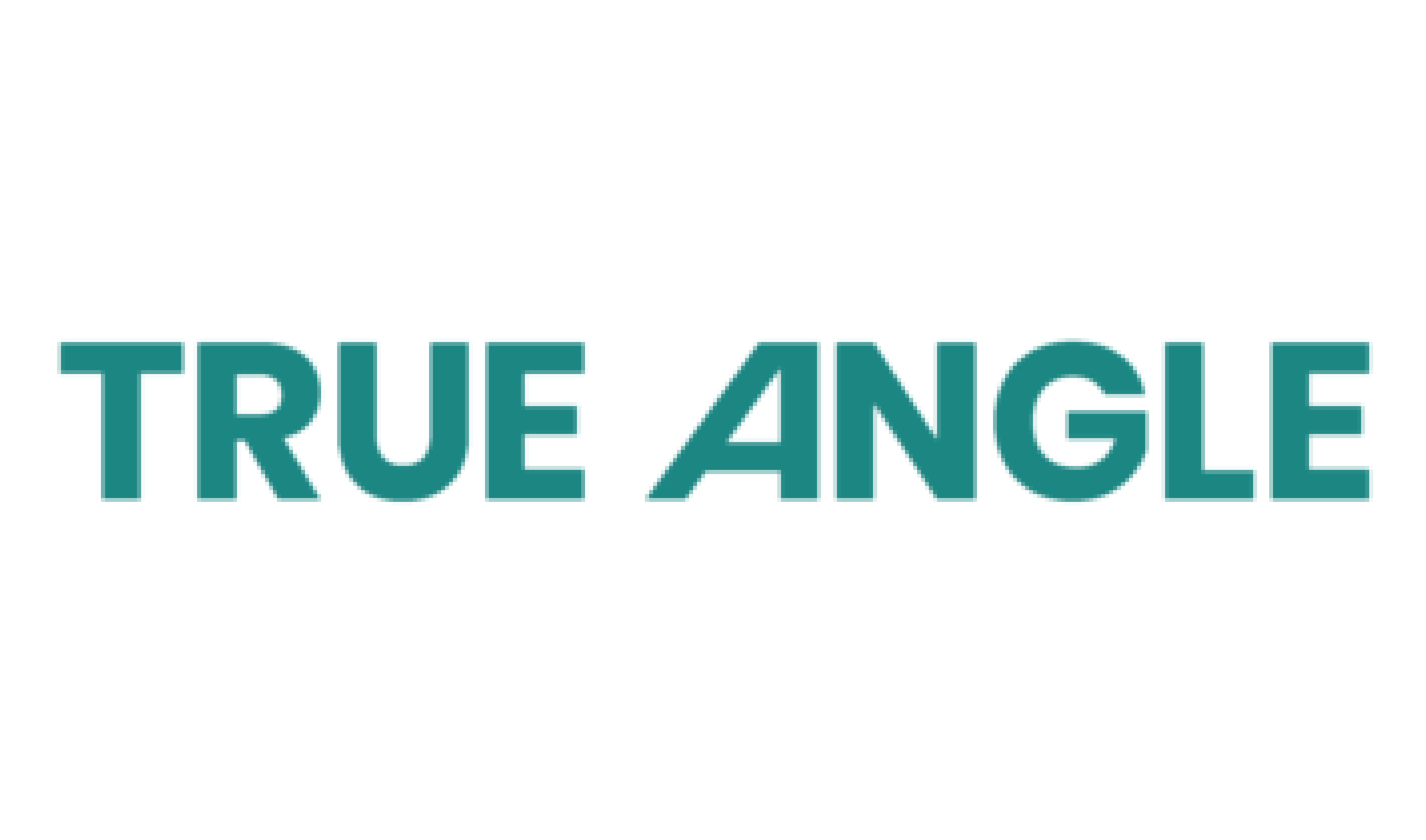 True Angle Company Logos-71