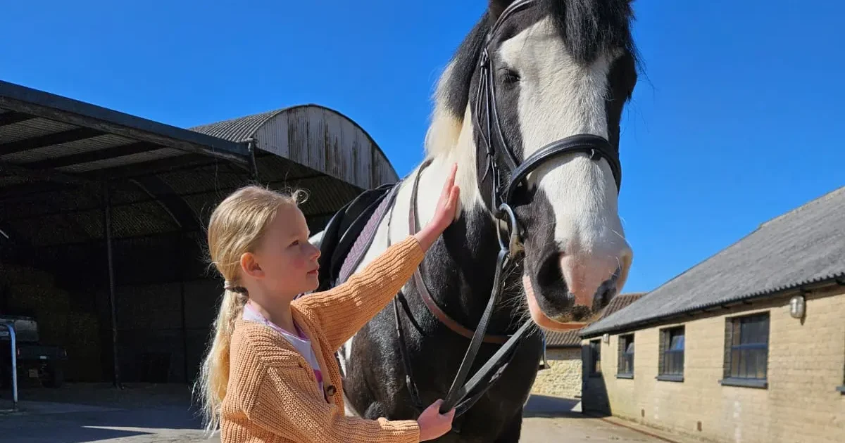 Equine Therapy Chedington Apache e1782812256456 | Hobbs Rehabilitation